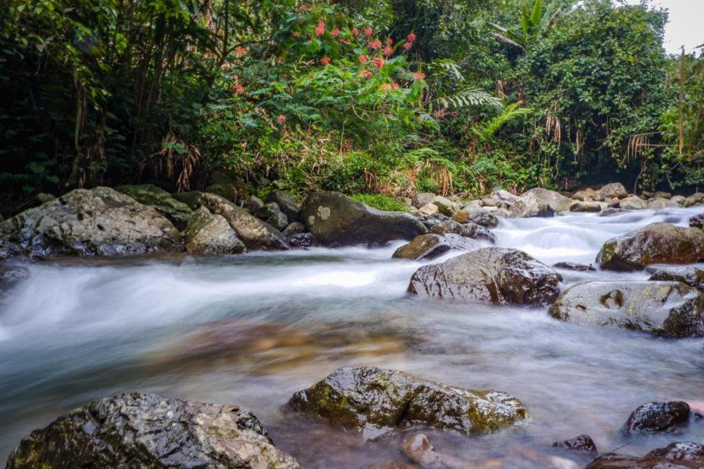 Graha Widjaja Hotel Puncak Kültér fotó
